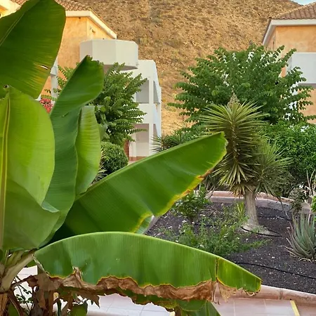 Golden Ocean View & Pool Los Cristianos (Tenerife)