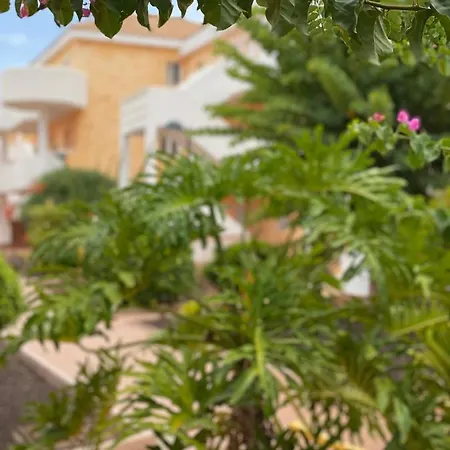 Apartamento Golden Ocean View & Pool Los Cristianos (Tenerife)