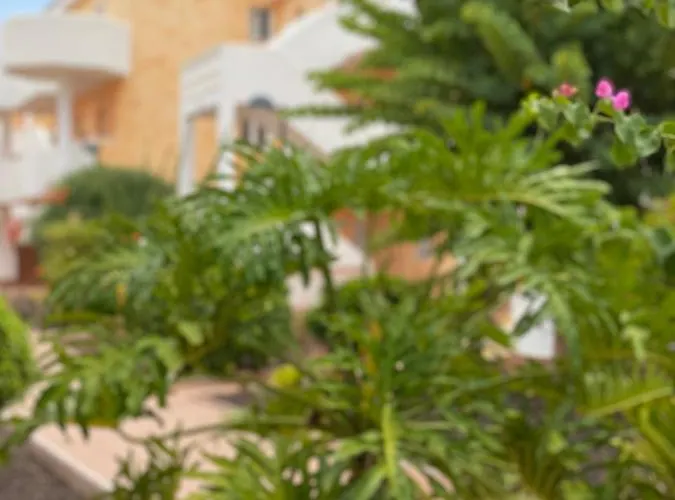 Lägenhet Golden Ocean View & Pool Los Cristianos (Tenerife)