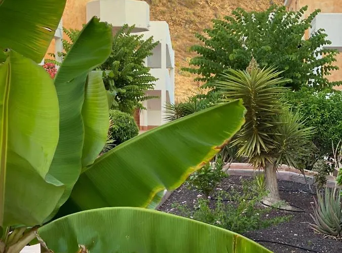 Golden Ocean View&pool Los Cristianos (Tenerife)